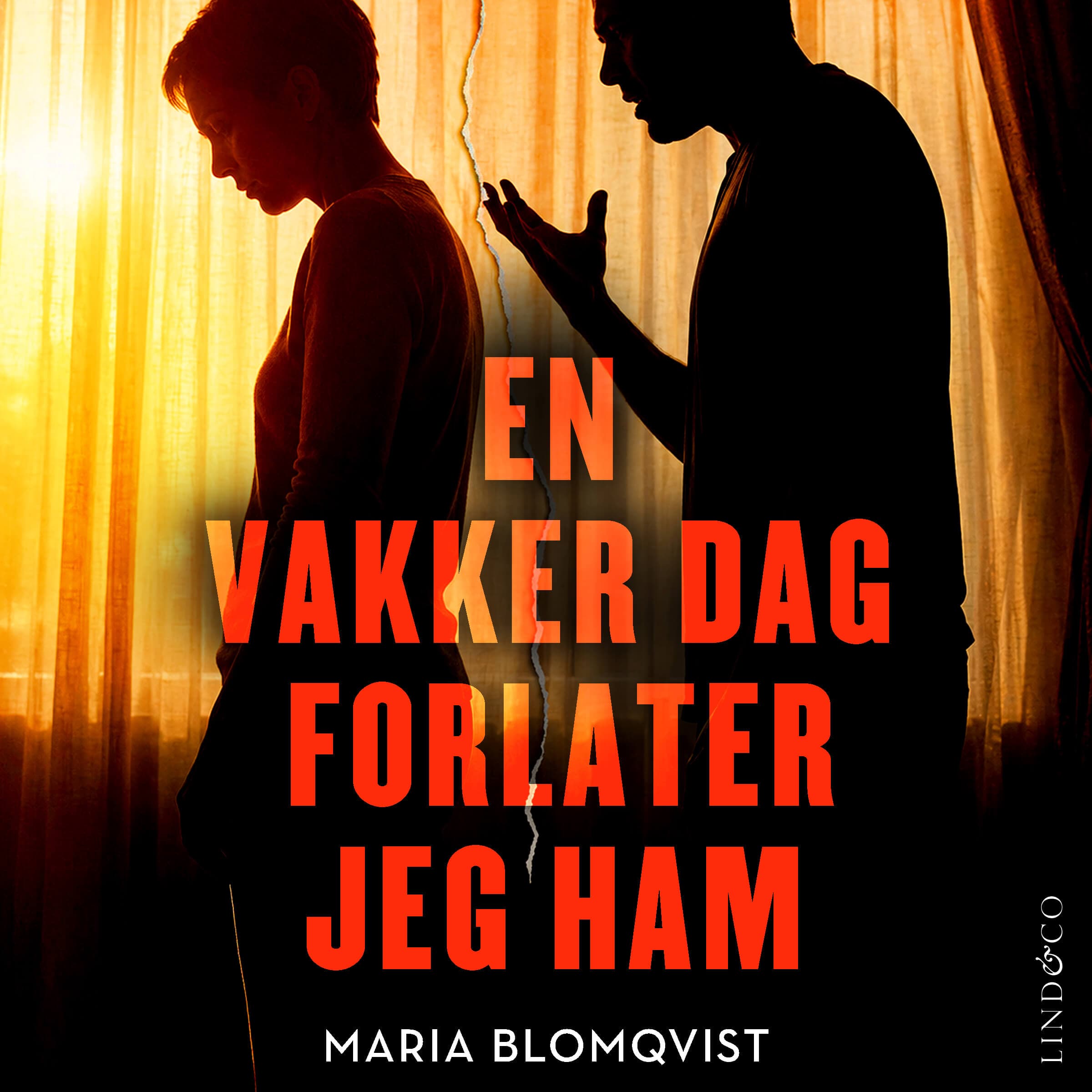 En vakker dag forlater jeg ham